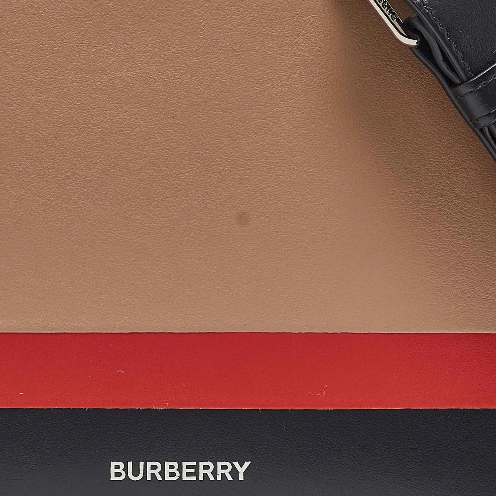 BURBERRY Multicolor Leather Benji Crossbody Bag