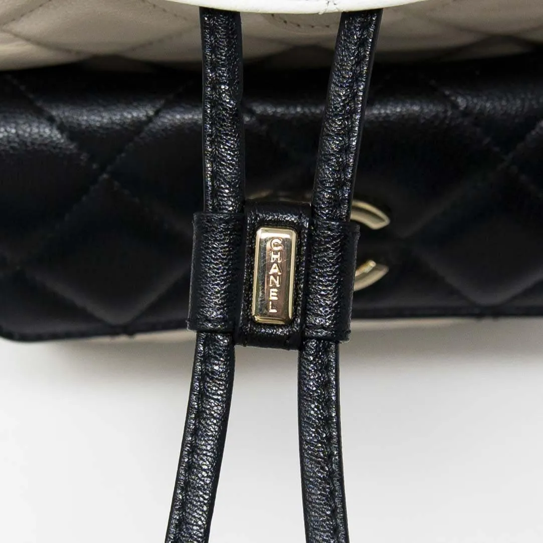 Chanel Tricolour Medium Duma Backpack