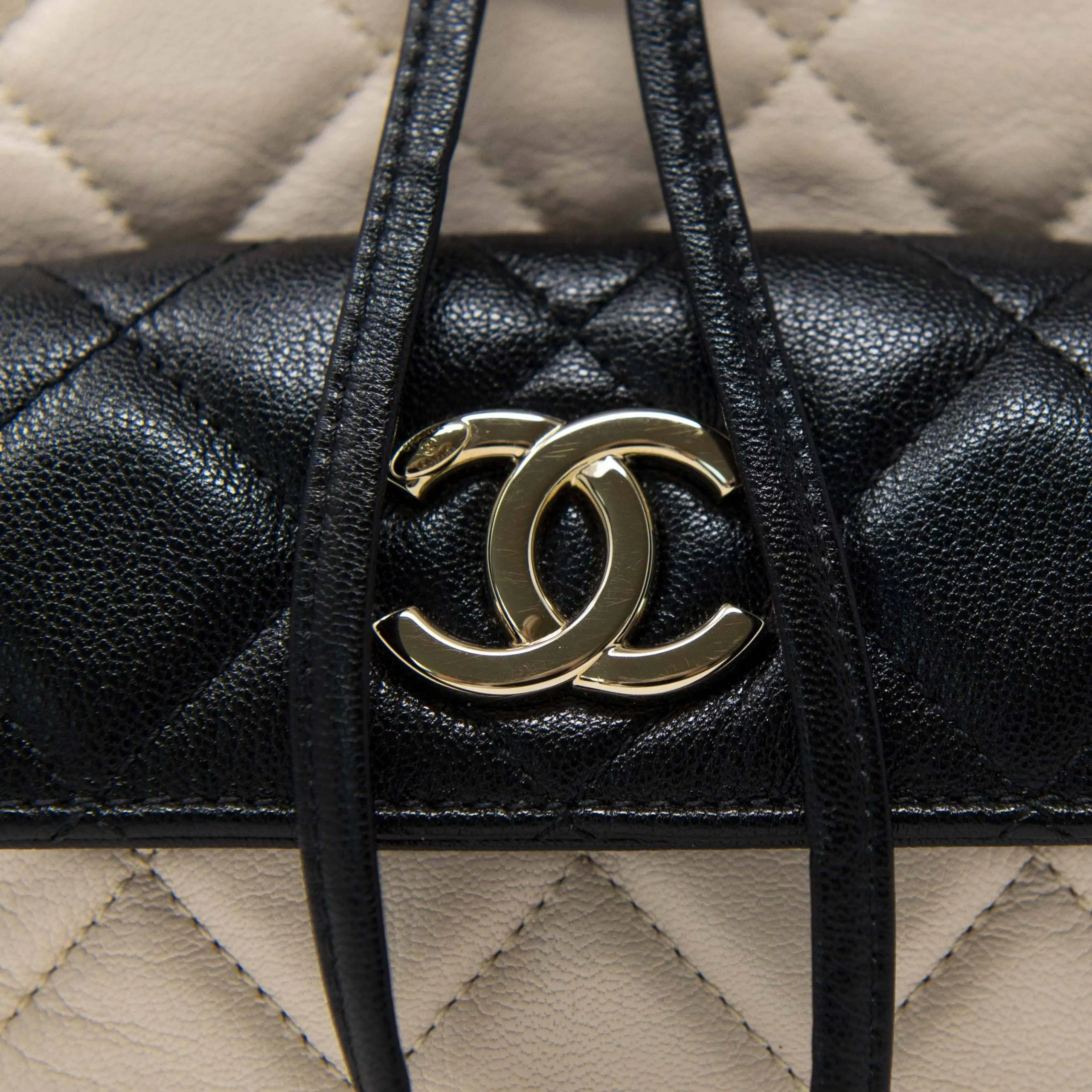 Chanel Tricolour Medium Duma Backpack