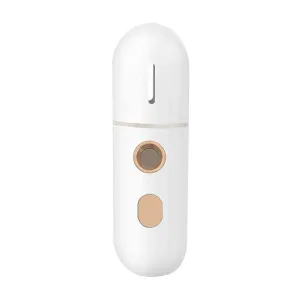 Portable Mini Face Steamer